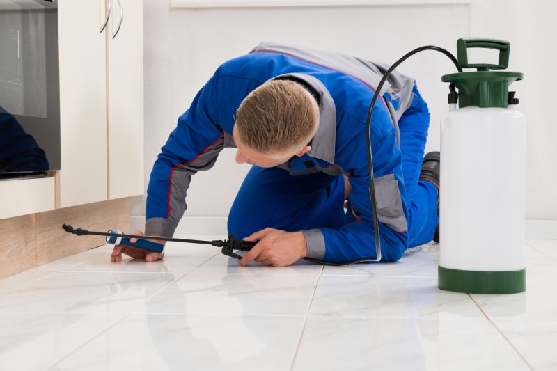 Bug Removal Service in Frisco, TX