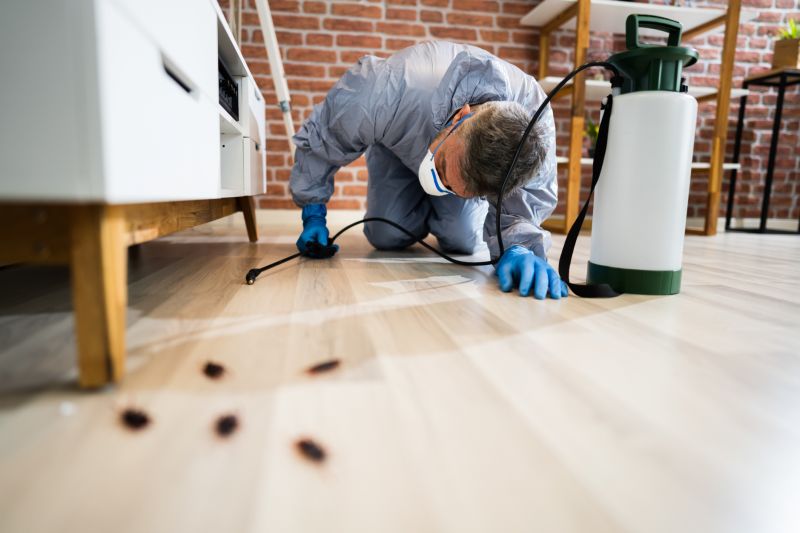 Carpet Beetle Extermination in Arlington, TX