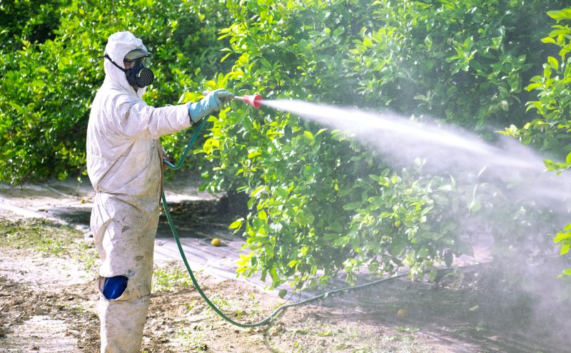 Fumigation Service in Tampa, FL