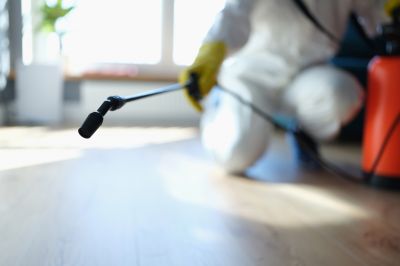 Pest Fumigation Service in West Palm Beach, FL