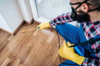 Spider Extermination Service in Fort Worth, TX
