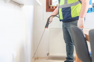 Ant Control Service in Mckinney, TX