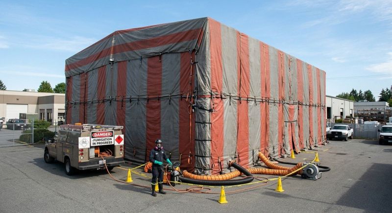 Commercial Fumigation in Long Island, NY