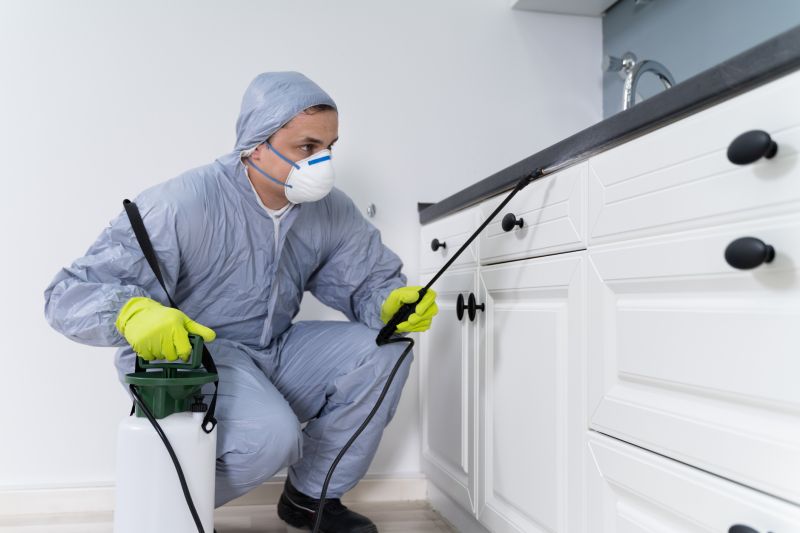 Earwig Extermination in Frisco, TX