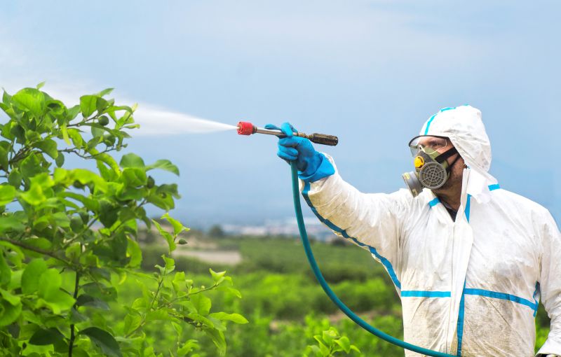 Fumigation Service in Wilmington, NC