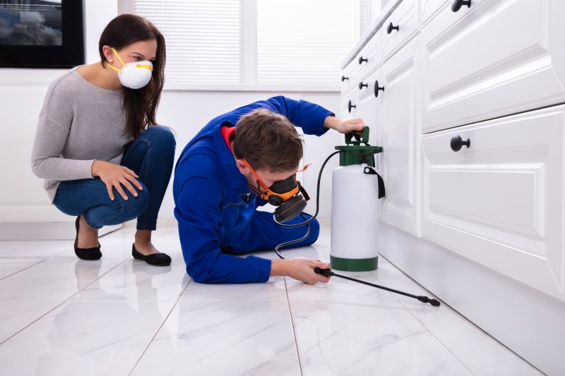 Insect Control Service in Frisco, TX