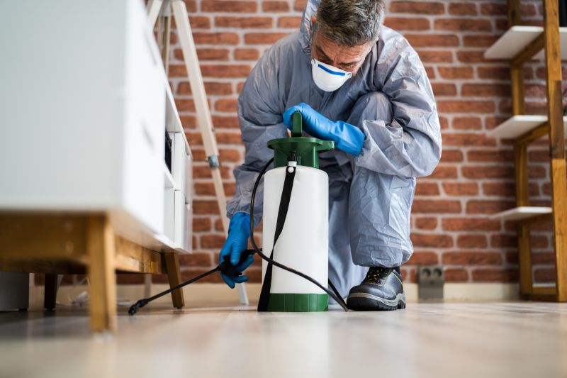 Insect Extermination Service in Frisco, TX