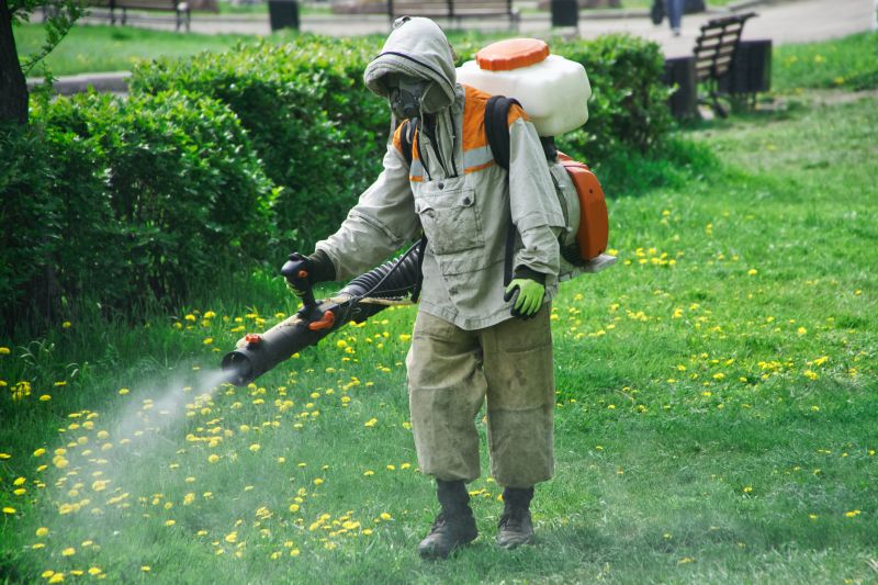 Lawn Insect Spraying in Katy, TX