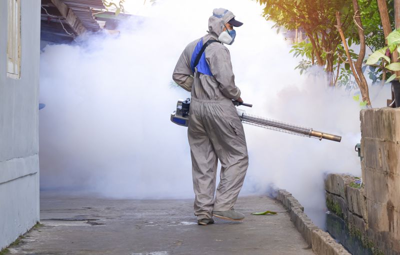 Mosquitoes Pest Control in Katy, TX