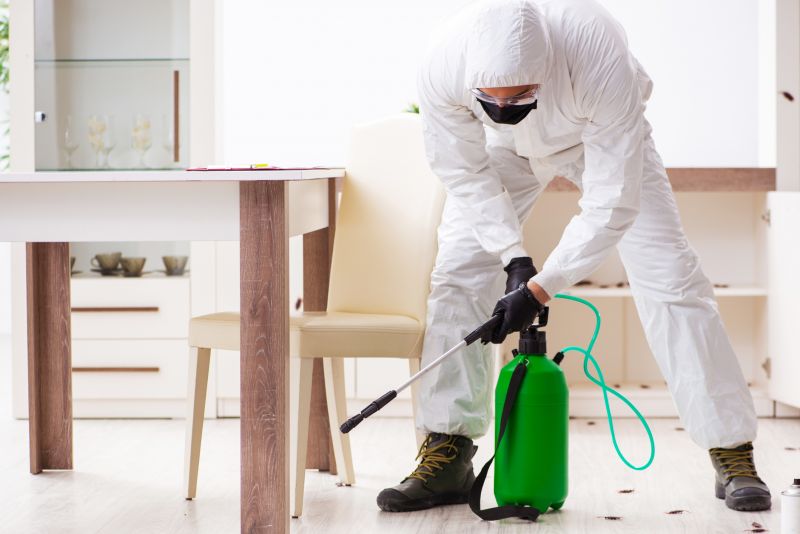 Outdoor Pest Control Service in Frisco, TX
