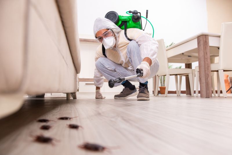 Pest Control Service in Katy, TX