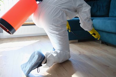 Pest Fumigation Service in Phoenix, AZ