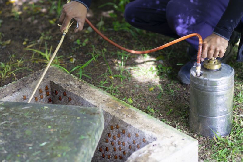 Roach Fumigation in Wilmington, DE