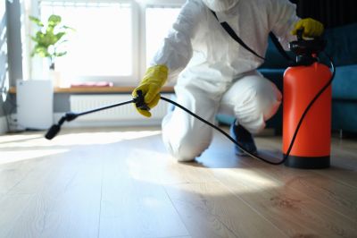 Spider Extermination Service in New Braunfels, TX