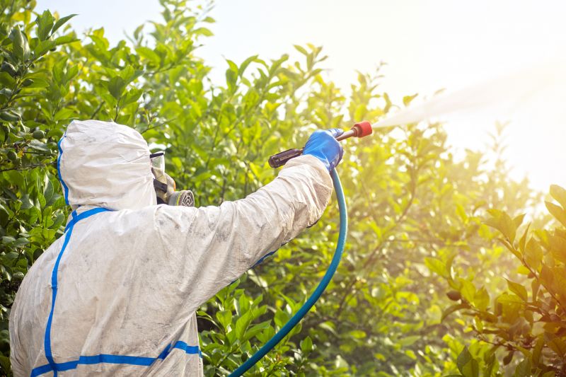 Spider Fumigation Service in Santa Fe, NM