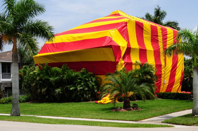 Termite Tenting in Toledo, OH