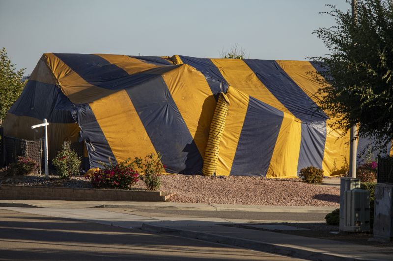 Termite Tenting in Fayetteville, NC