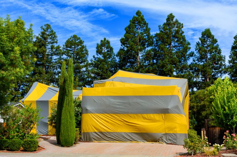 Termite Tenting in Santa Fe, NM